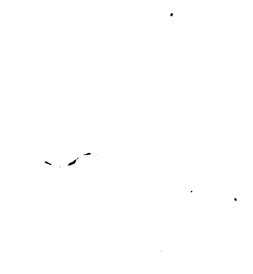 Microplastic System